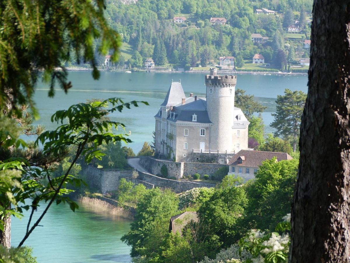 Au Bord Du Lac D'Annecy, Logement Type Loft, Dans Residence Avec Plage Et Ponton Privee Duingt Exteriör bild